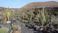 DSC02231