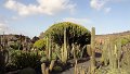 DSC02238