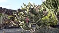 DSC02239