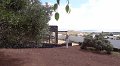 DSC02290