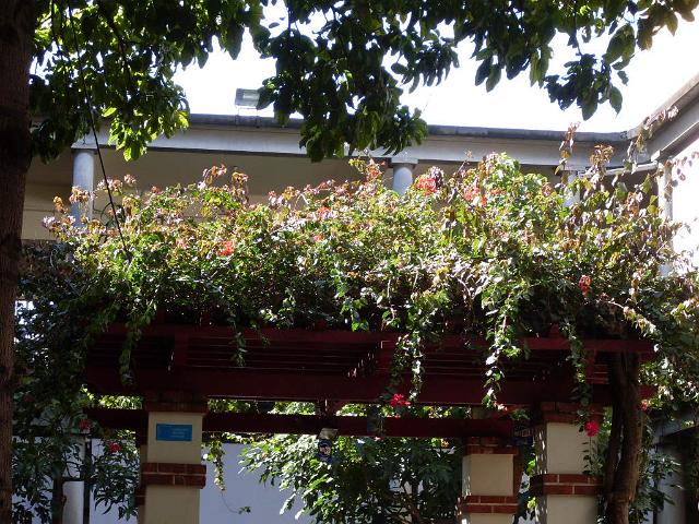 SDC12025.JPG