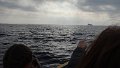 DSC03321