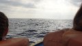 DSC03322