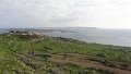 DSC03344