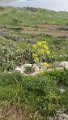 DSC03346