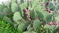 DSC03347