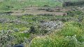 DSC03348