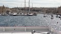 DSC03370