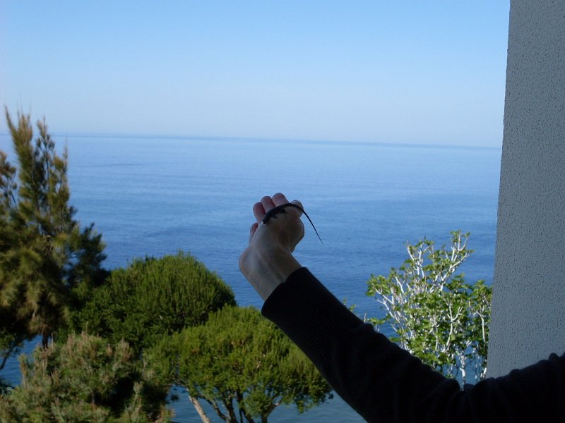 SDC10838.JPG
