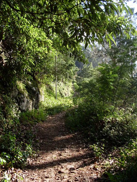 SDC10877.JPG