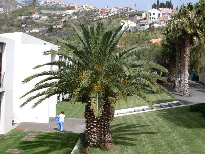 SDC10894.JPG