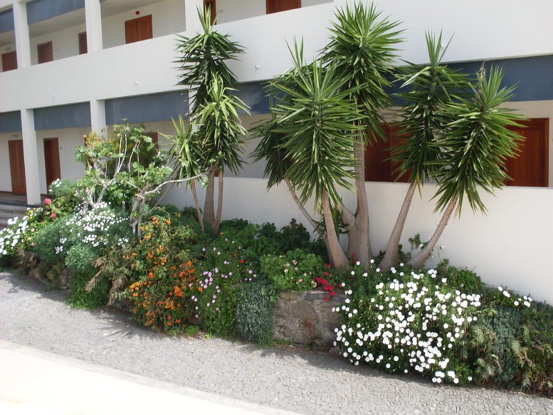 SDC10898.JPG