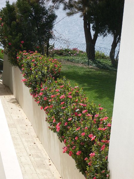 SDC10899.JPG