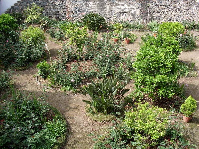 SDC10943.JPG