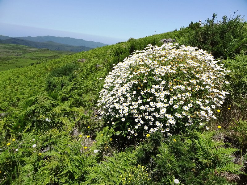 DSC04640.JPG - 
