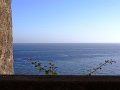 DSC04480
