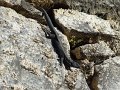 DSC04490