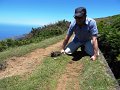 DSC04517