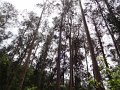 DSC04542