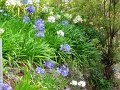 DSC04561