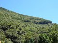 DSC04578