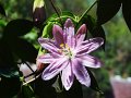 DSC04605