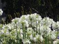 DSC04608