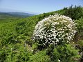 DSC04640