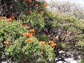 DSC04651