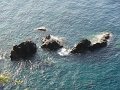 DSC04657