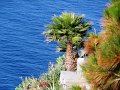DSC04659