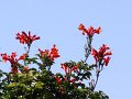 DSC04696