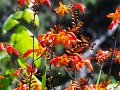 DSC04698