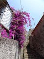 DSC04707