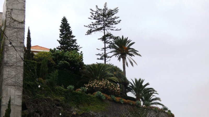 P1010649.JPG