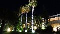 DSC03387