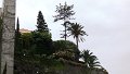 P1010649