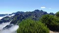 P1010768