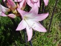 DSC09072