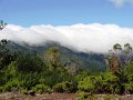 DSC09077