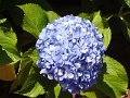 DSC09096