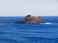 DSC09105