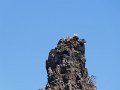 DSC09109