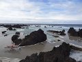 DSC09125