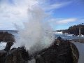 DSC09129
