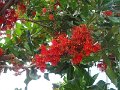 DSC09139