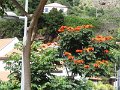 DSC09154