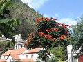 DSC09155
