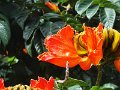 DSC09157