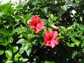 DSC09161